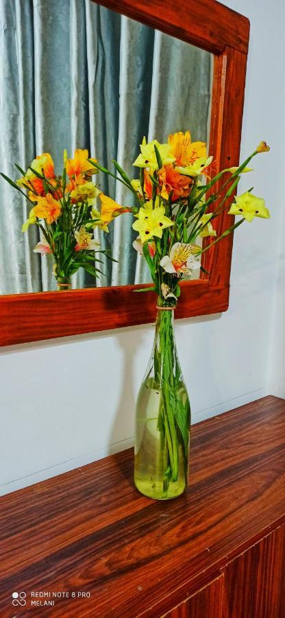 Mount Elegance Apartment Nuwara Eliya Bagian luar foto